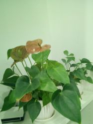 -时间海科学美容