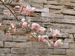 -东华门大街小区