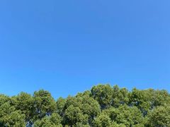 -上海虹桥迎宾馆