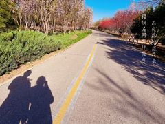 -永定河休闲森林公园