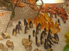 -元一希尔顿酒店·禅自助餐厅·啤酒花园