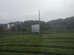 -九曲溪竹筏码头