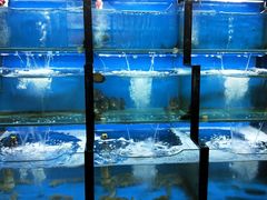 水产区-老东镇啤酒屋海鲜加工·蒸汽海鲜·海鲜烧烤(台东店)