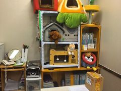 -爱妮康宠物医院·干细胞免疫细胞·肿瘤·心脏(张江店)