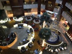 -深圳观澜格兰云天国际酒店