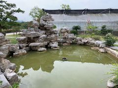 -呼吸森林·生态农庄农家乐私房菜