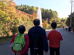 -天女山森林公园