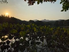 -旅马餐厅(茅家埠店)