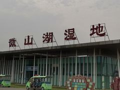-微山湖红荷湿地景区