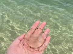-三亚蜈支洲岛旅游区
