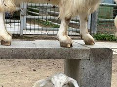 -上方山森林动物世界