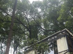 -宅里香.自然餐厅(湘大店)