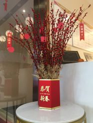 -丽美妍医疗美容·皮秒·立体分层抗衰