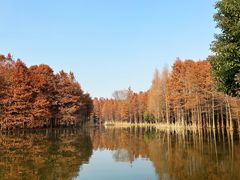 -尚湖风景区