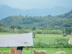 -溪口-滕头旅游景区