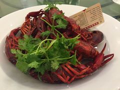 -新日月育才大酒店-中餐厅(环城北路店)