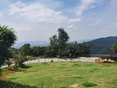 -铁山坪森林公园