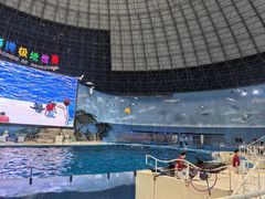 -泉城欧乐堡海洋极地世界