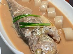 家烧深海大黄鱼-荣小馆(安达仕店)