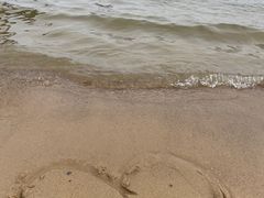 -碧海金沙