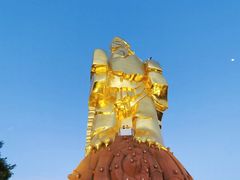 -大金鹰园