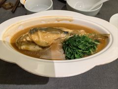 -沈灶河豚宴·河豚融合餐厅(汉中路店)