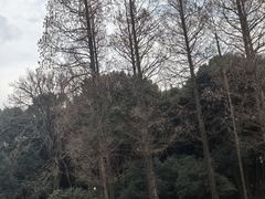 -杭州口腔医院(平海院区)