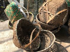 -马陆小张葡萄园农家乐