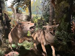 -陕西自然博物馆