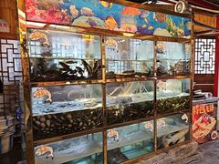 -三道苗苗鱼·美蛙黄辣丁(八里店)