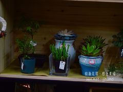 -杭州街角花屋花店(闻堰店)