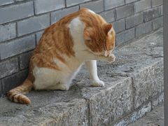 -云龙山