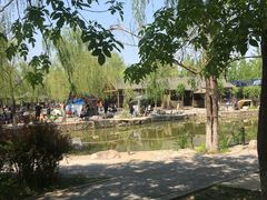 -杨柳青庄园
