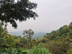 -广州市白云山风景名胜区