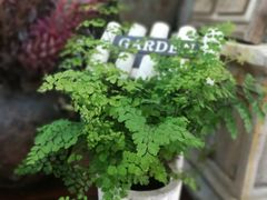 -泉乐坊步行街(烟酒特产平价超市店)