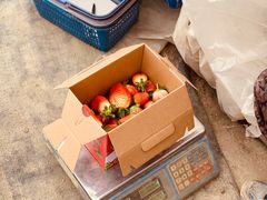 -小鱼草莓采摘园农家乐·小鱼餐厅