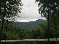 景点-宁波浙东大竹海景区