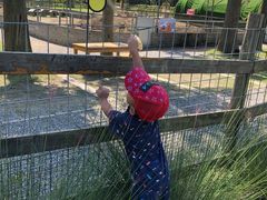 -前小桔亲子创意农场·草莓采摘·露营烧烤