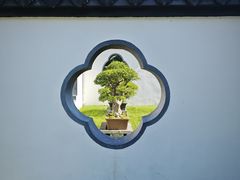 -盆景园(扬州大运河文化旅游度假区)