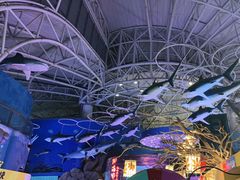 -烟台海昌鲸鲨海洋公园