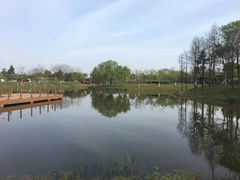 -尚贤河湿地