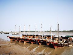 -大湾区中央湿地公园-十九涌