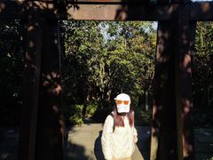 -杭州半山国家森林公园