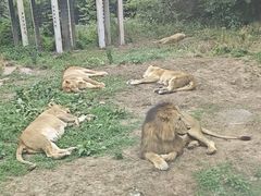-西安秦岭野生动物园