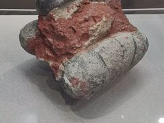 -浙江自然博物院(杭州馆)