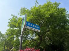-习家池