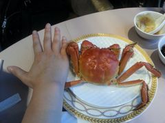 -王宝和酒家(黄浦店)