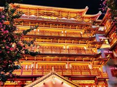 -越秀西湖花市(广州城市广场花卉店)
