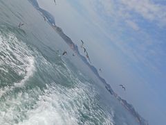 -海驴岛(荣成市)