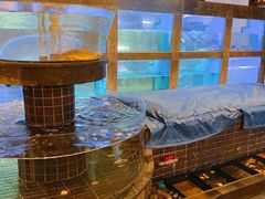 水产区-宁波柏悦酒店·钱湖渔港